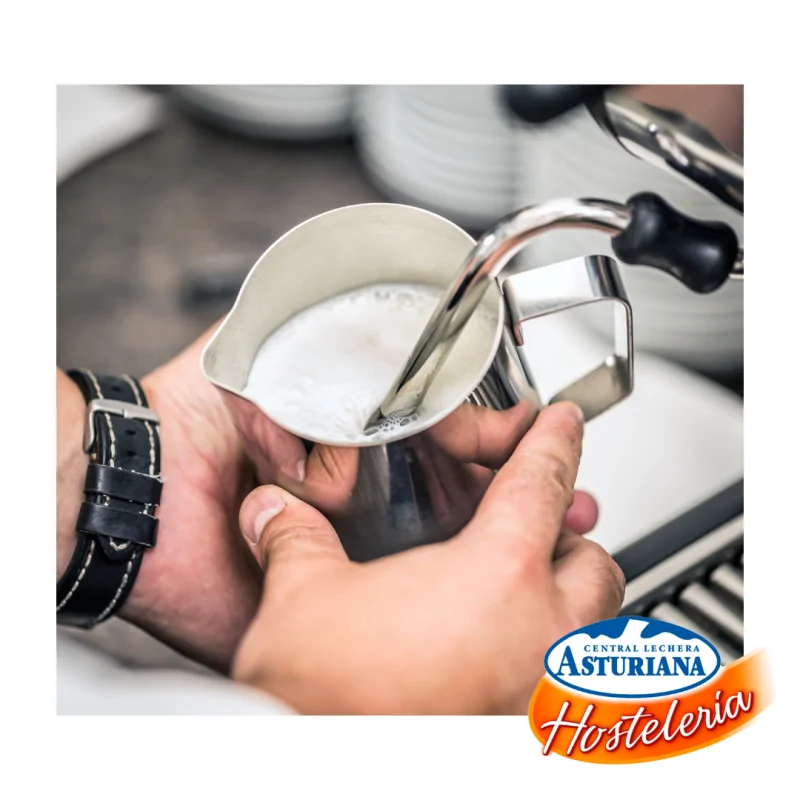 Asturiana Leche Hosteleria Desnatada 1,5L