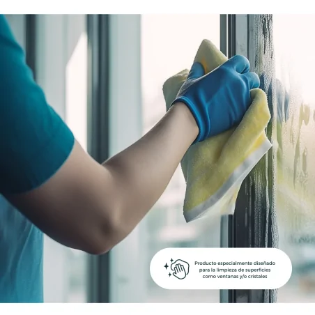 Limpiacristales 1L