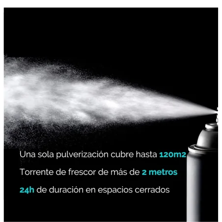 Aerosol Turbo Té Verde