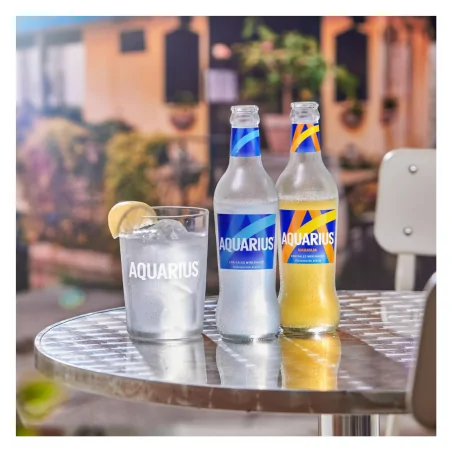 Aquarius Limón Vr 300Ml 24 Uds