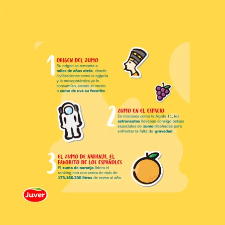 Juver Zumo Piña 200Ml 24 Uds