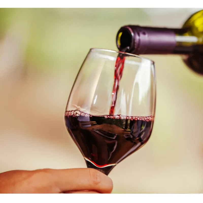 Alma Vino Tinto 0,75L