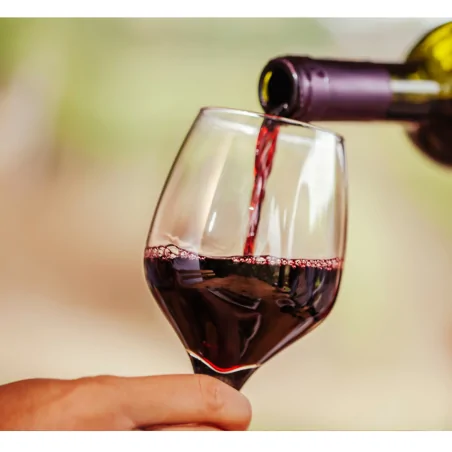 Alma Vino Tinto 0,75L