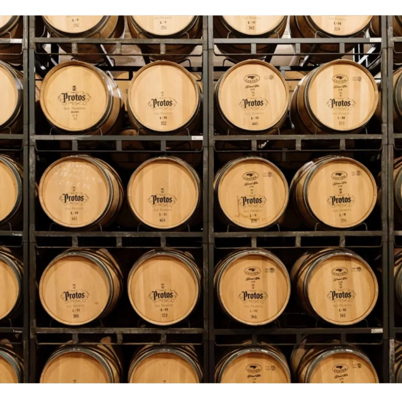 Vino Protos Roble 0,75L