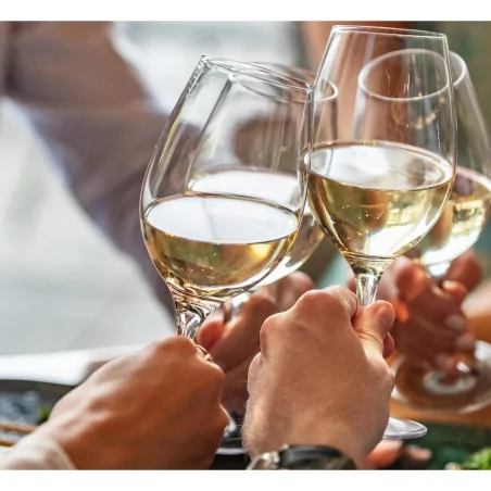 Gala Mágica Vino Blanco Verdejo 0,75Cl