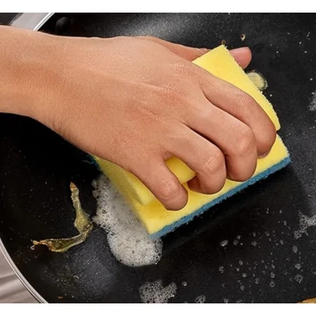 Estropajo con Salvauñas de Colores 4uds