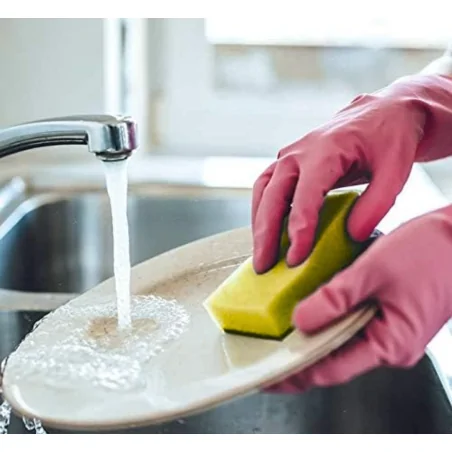 Estropajo con Esponja 6uds