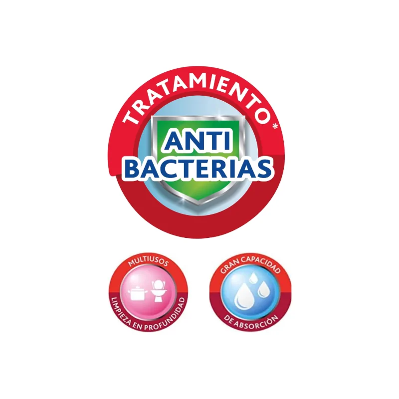 Estropajo con Esponja 6uds