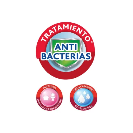 Estropajo con Esponja 6uds