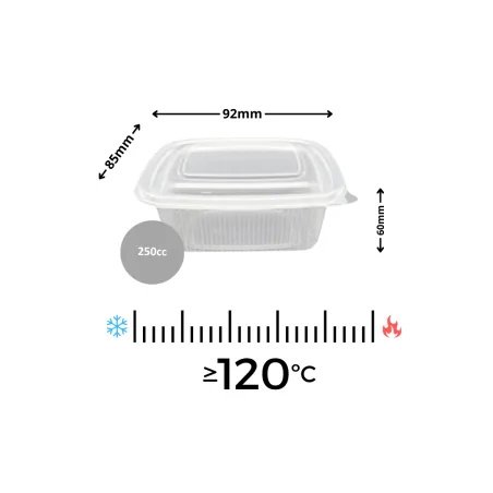 Envase PP 250cc 50uds