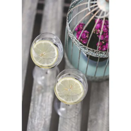 Copa Pinot 35Cl 6Uds