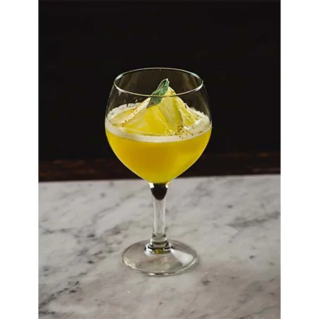 Copa Havana 62Cl 6Uds