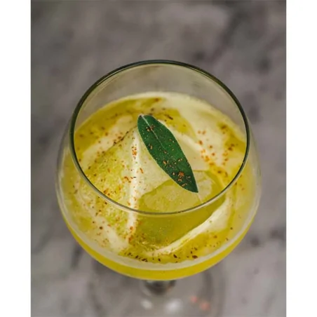 Copa Havana 62Cl 6Uds