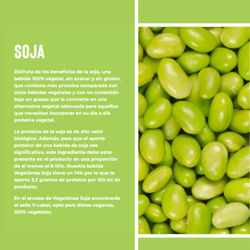 Bebida de Soja Vegetánea 1L 6Uds