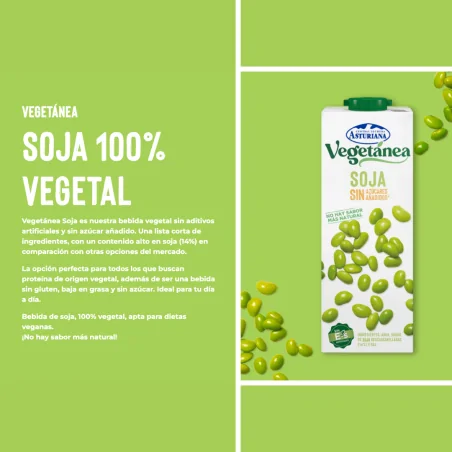 Bebida de Soja Vegetánea 1L 6Uds