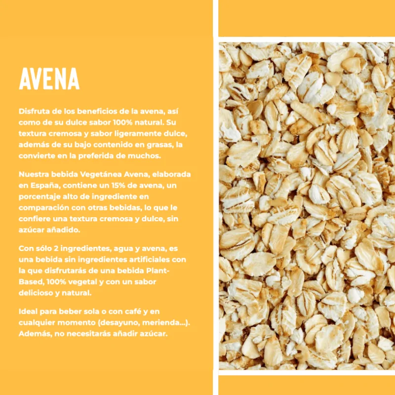 Bebida de Avena Vegetánea 1L 6Uds